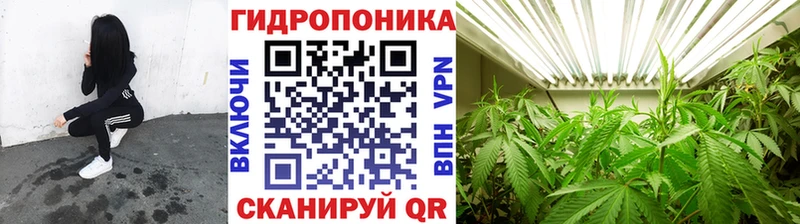 Купить закладку COCAIN Бошки Шишки Мефедрон Псилоцибиновые грибы ГАШ Alpha PVP Асбест