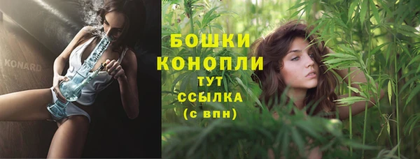 PSILOCYBIN Кодинск