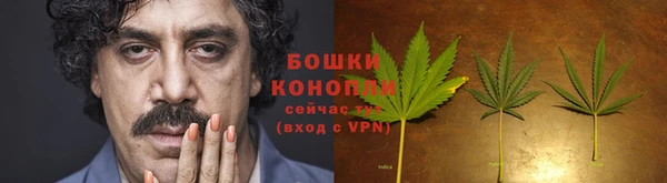 бошки Кинешма