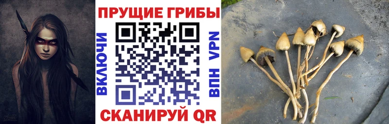 Псилоцибиновые грибы мухоморы  Купить  Асбест 